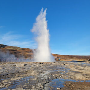 geysir erupting in Iceland 