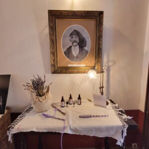some lavender tinctures, oils, and herbs on a table. 
